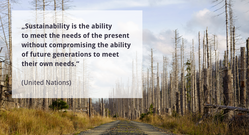 Picture of destroyed forest with citation of United Nations: "Sustainability is the ability to meet the needs of the present withour compromising the ability of future generations to meet their own needs."